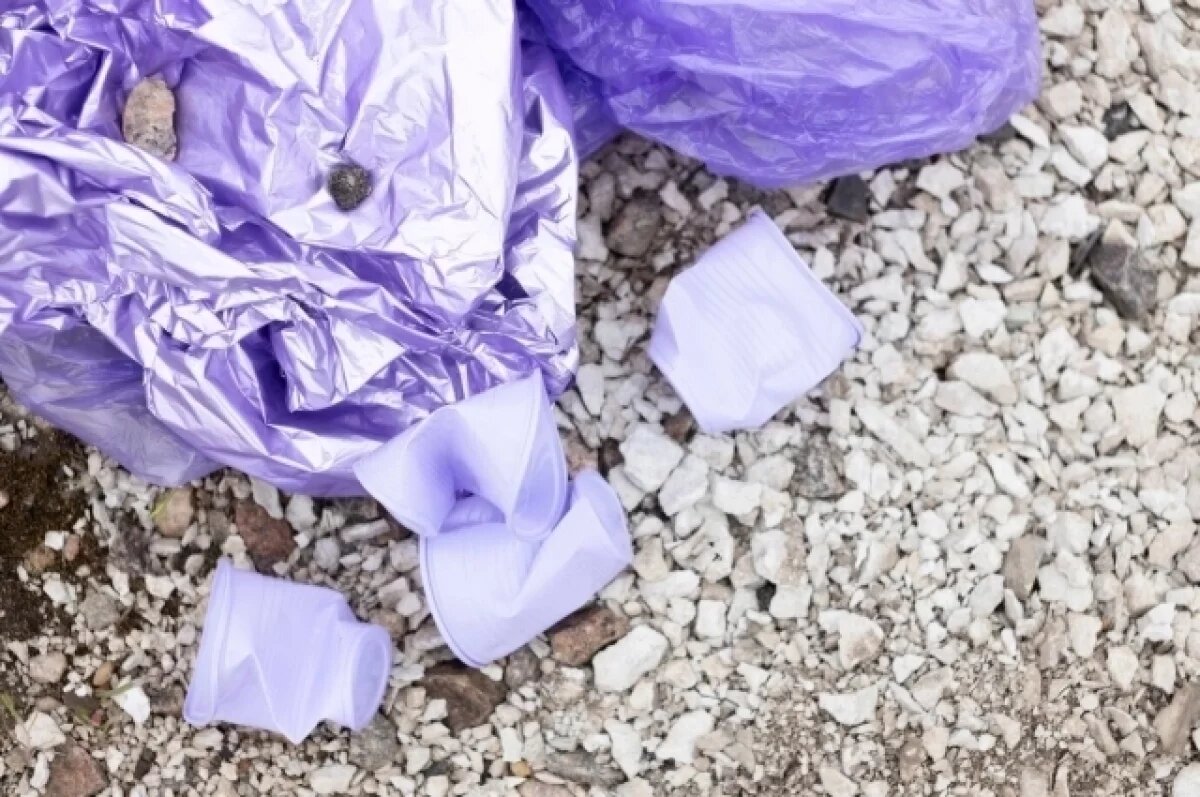    Дачники Сургута лидируют по количеству выбрасываемых отходов в Югре