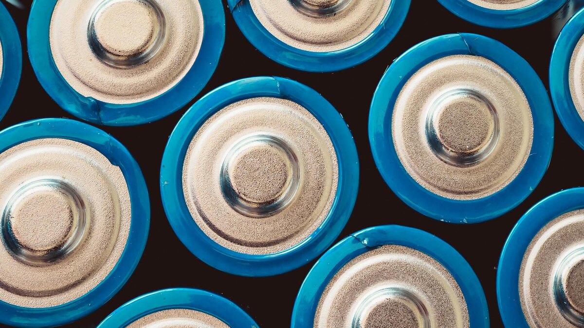    Фото: freepik.com