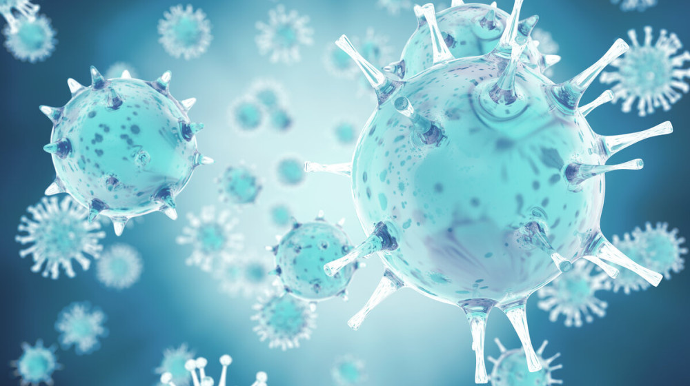    Почему дети скачивают рефераты с вирусами