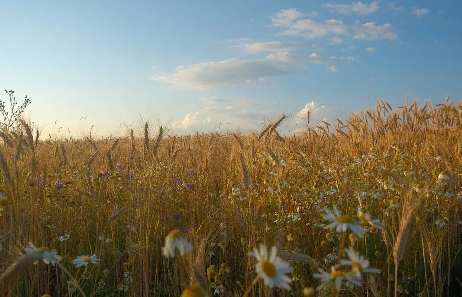 Фото взято из открытых источников 