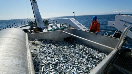     Фото: Росрыболовство