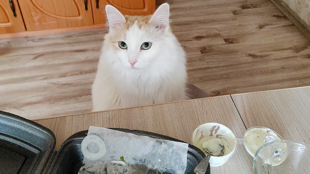 Вы что — все сожрали и мне не оставили?! 