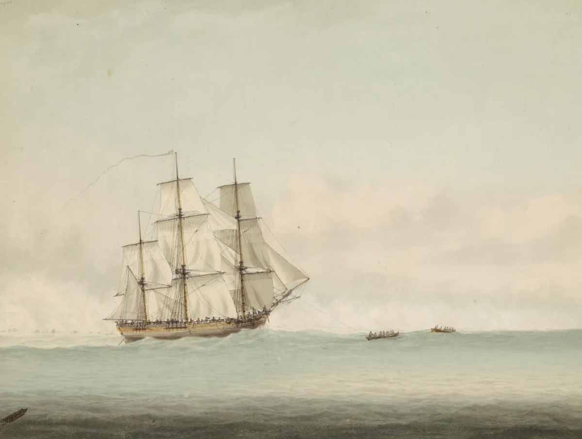Корабль HMS Endeavour у берегов Новой Голландии во время путешествия Джеймса Кука в 1768-1771 годов кисти Сэмюэля Аткинса. Фото: Samuel Atkins/National Library of Australia/Wikimedia Commons