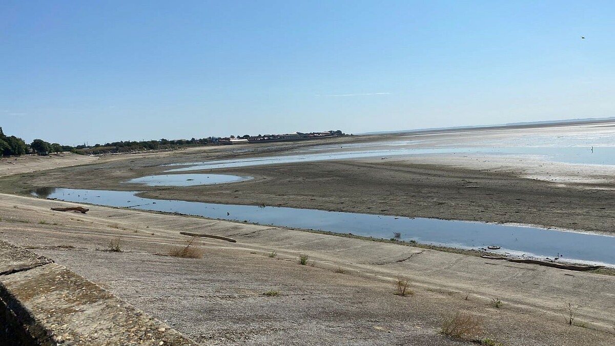    Фото: телеканал «Краснодар»