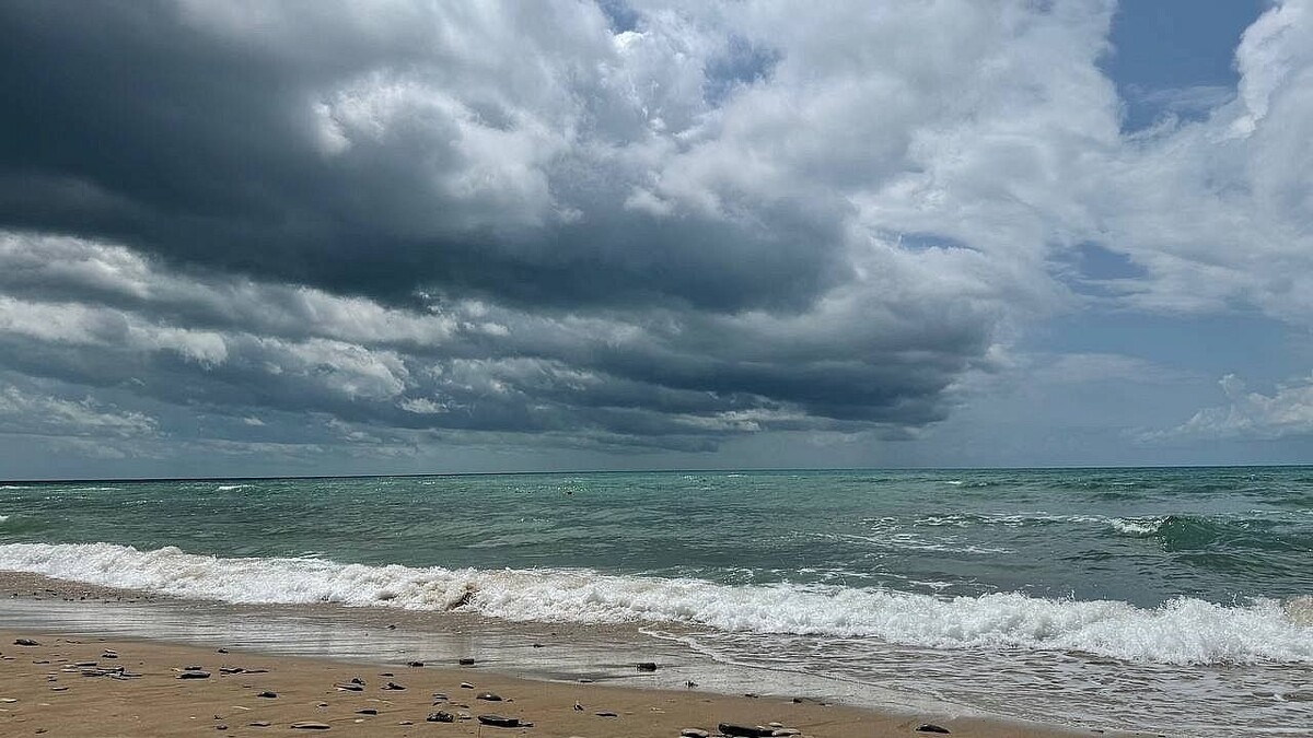    Фото: телеканал «Краснодар»