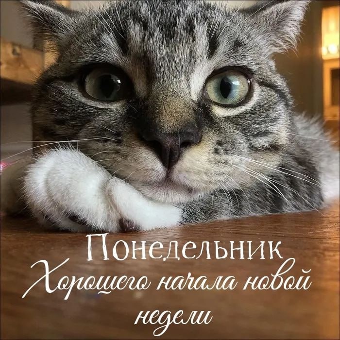 #Астропрогноз на 16 июня 2025. Ключевые аспекты дня