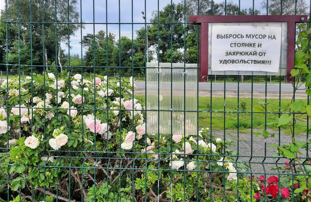 Все фотографии в статье мои