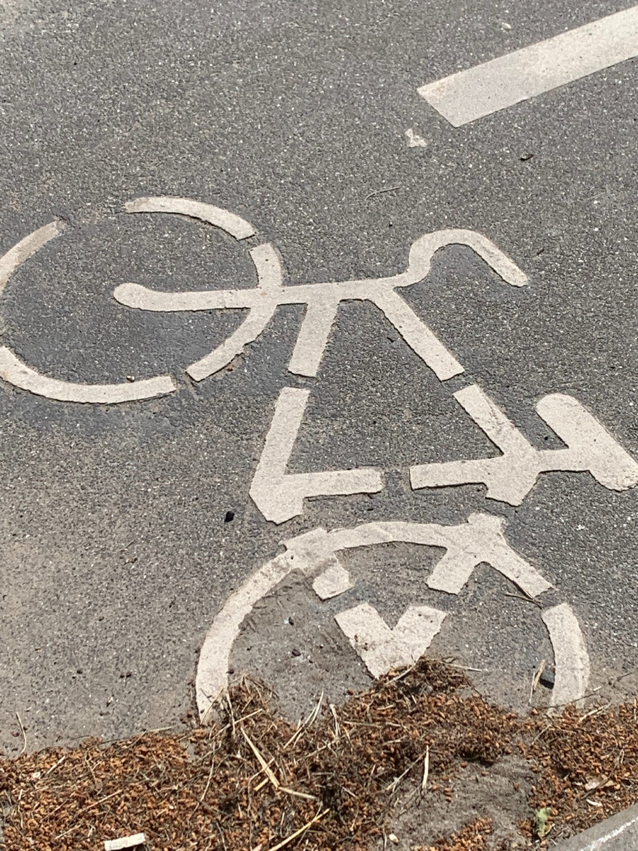 Сосновый Бор .Велосипедные дорожки .