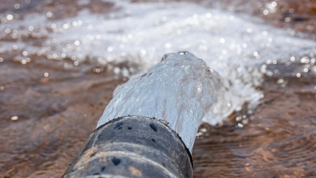    Фото: Kiran Nagare / shutterstock.com / Fotodom