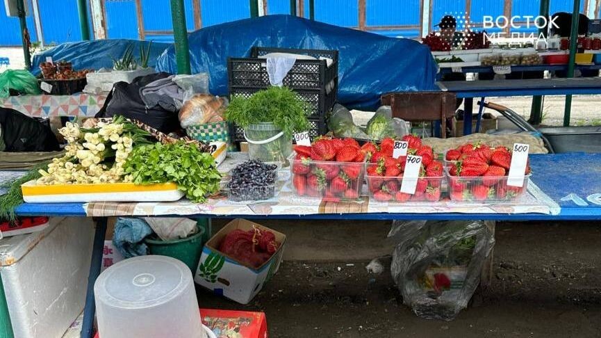     Источник: vostokmedia.com