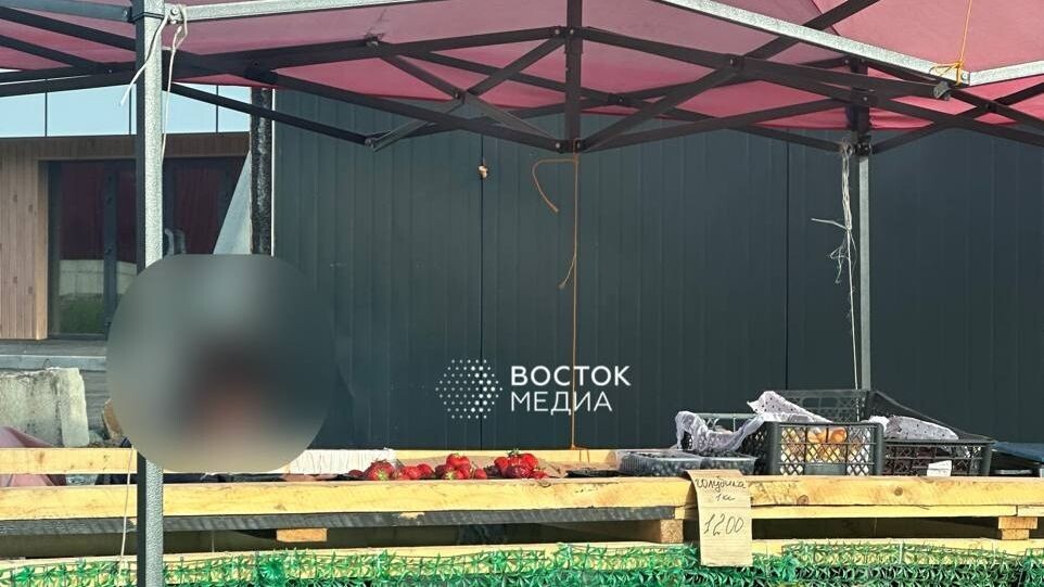     Источник: vostokmedia.com