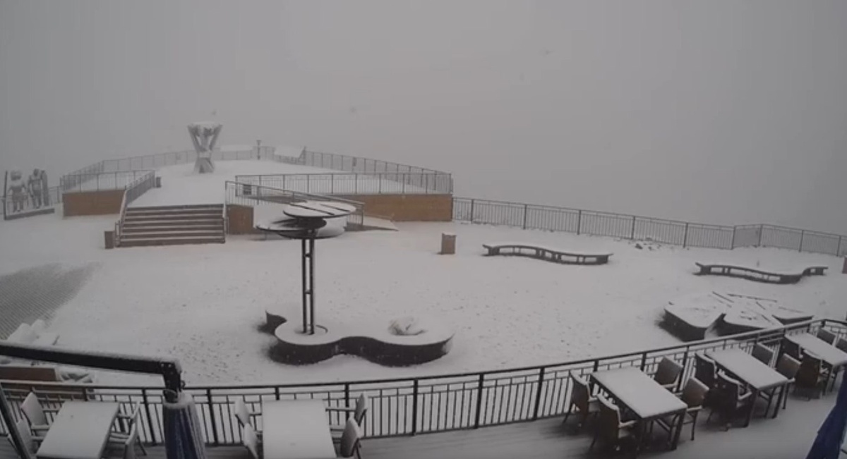    Фото: соцсети