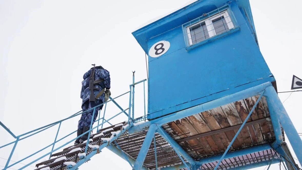    Фото: Юлия Чудинова / «Ямал-Медиа»