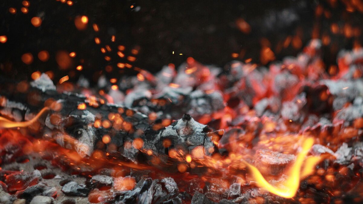    Фото: unsplash.com