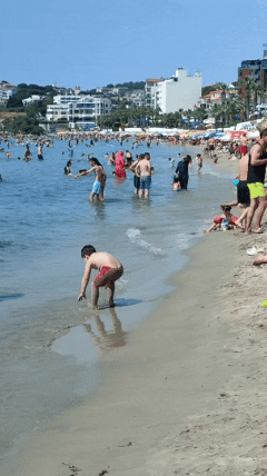 Наш пляж около дома "Кадынлар денизи". Человейник.