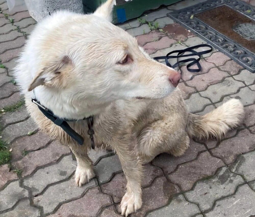    Фото: соцсети