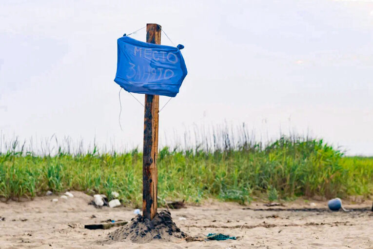 Фото: Ольга Цыкарева