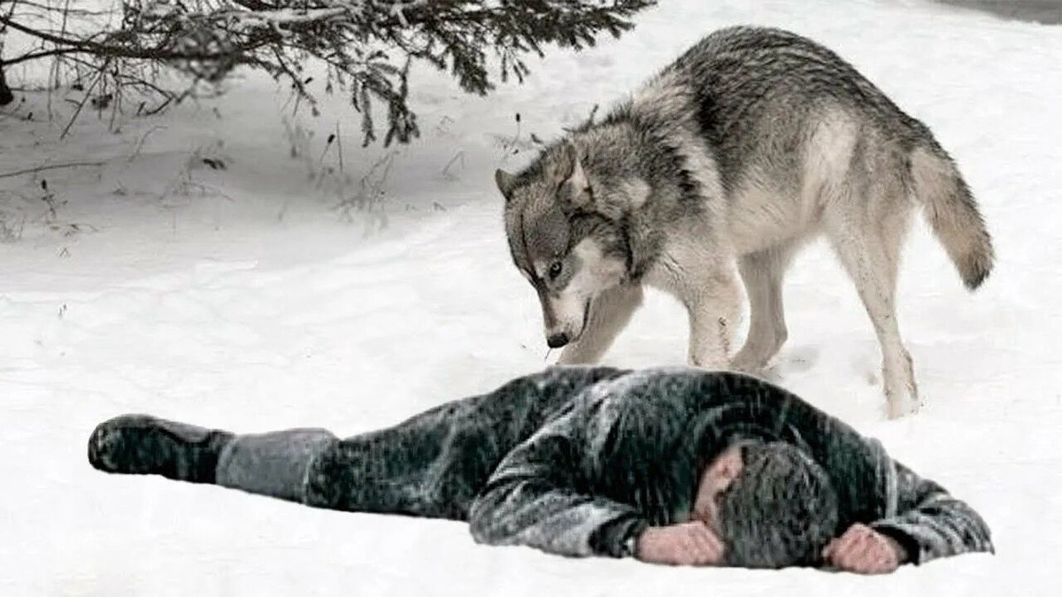 Фото из доступного источника