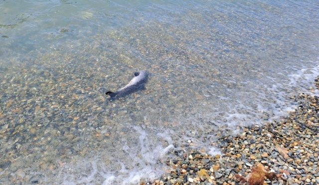 Фото: читателя