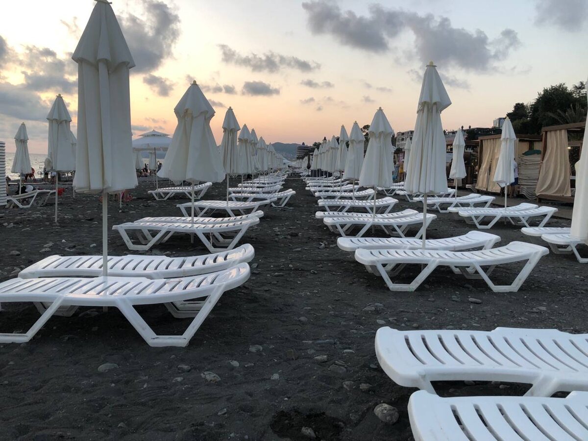 фото: Сочи 24  📷
