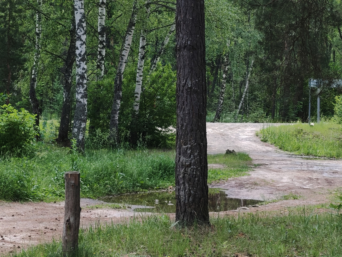  съезд с дороги