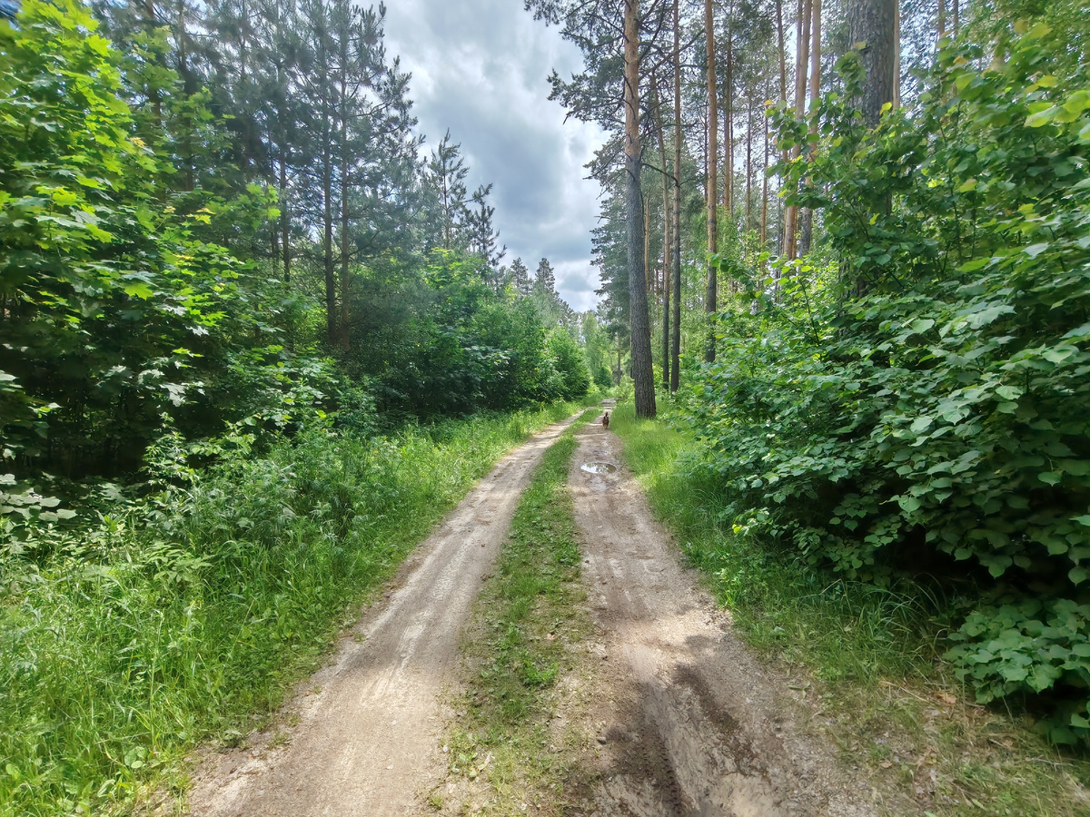 Вальхунда рысит к неизведанному