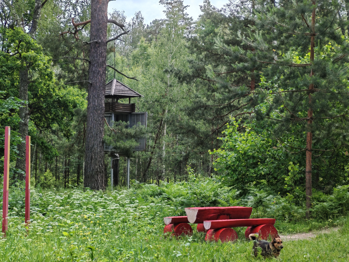 на заднем плане видна башня
