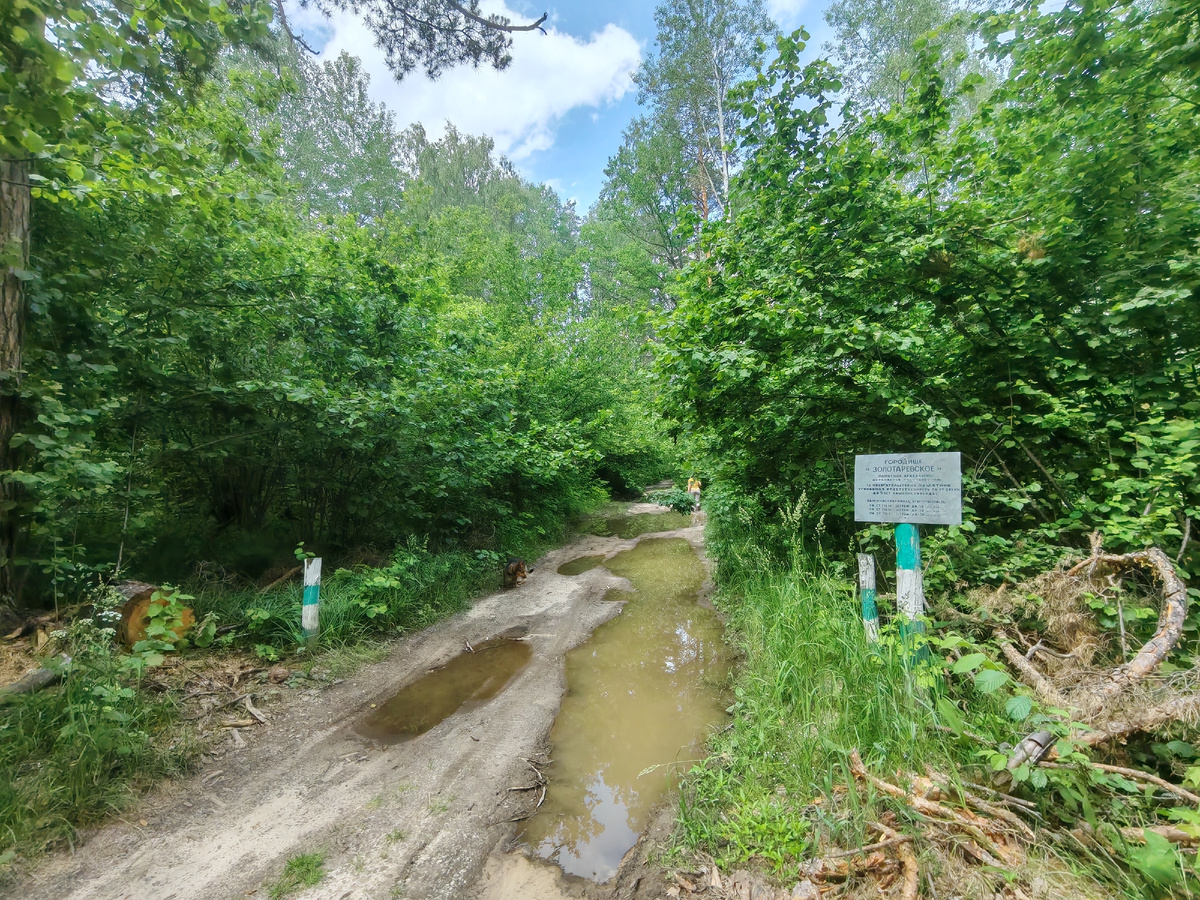 Мы на правильном пути!