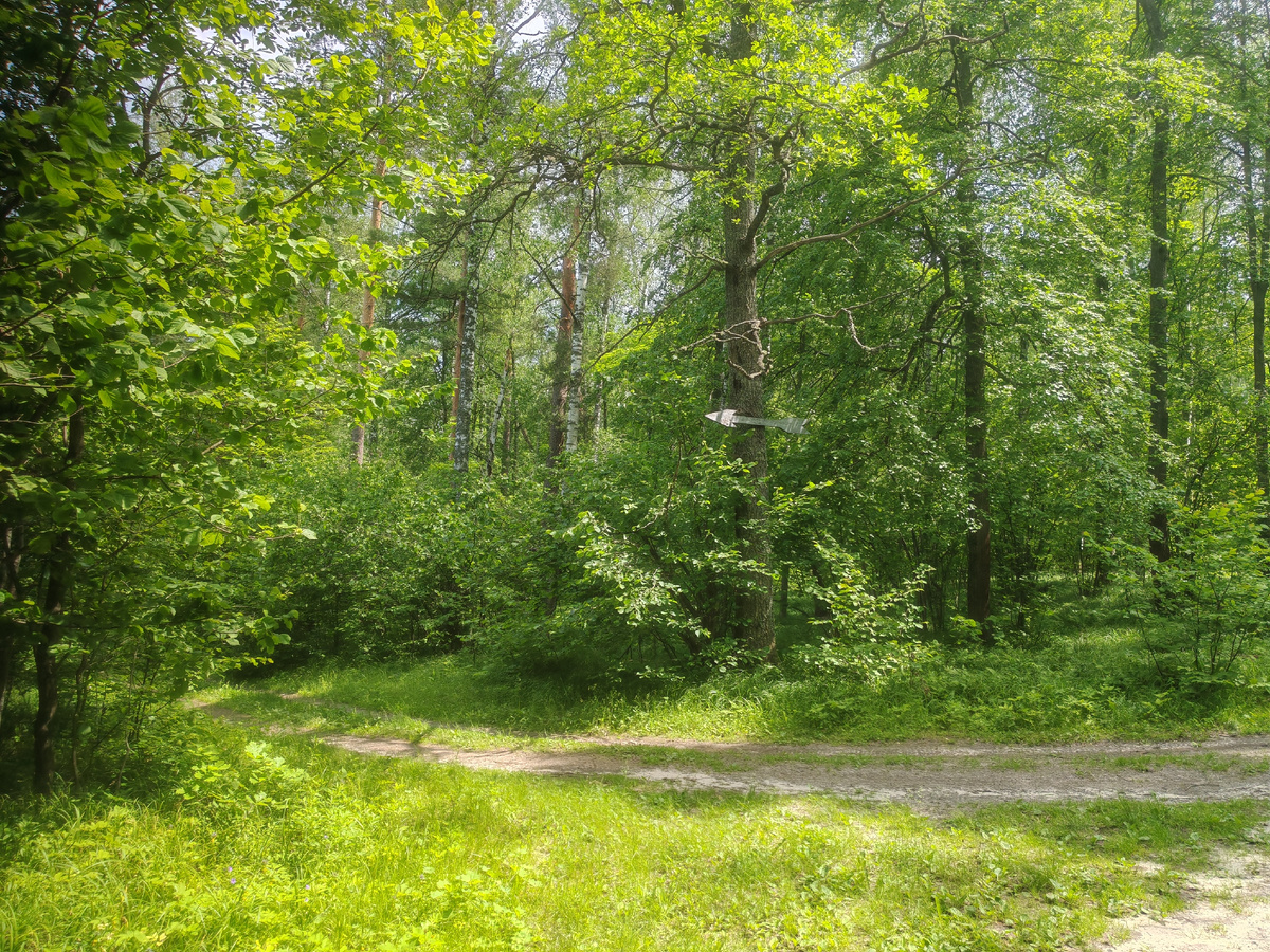 а вот и первый указатель