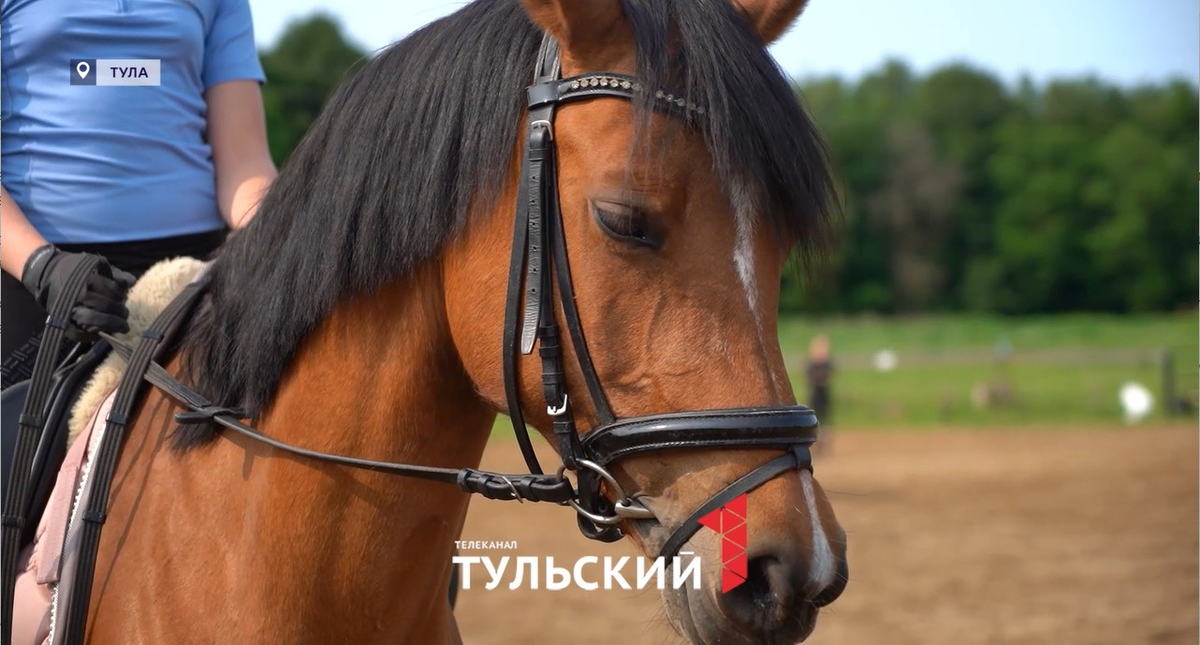 Фото: "Первый Тульский"