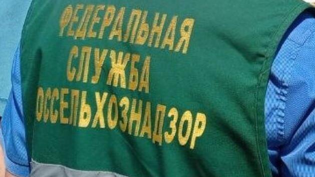 Фото: пресс-служба Россельхознадзора по Челябинской области