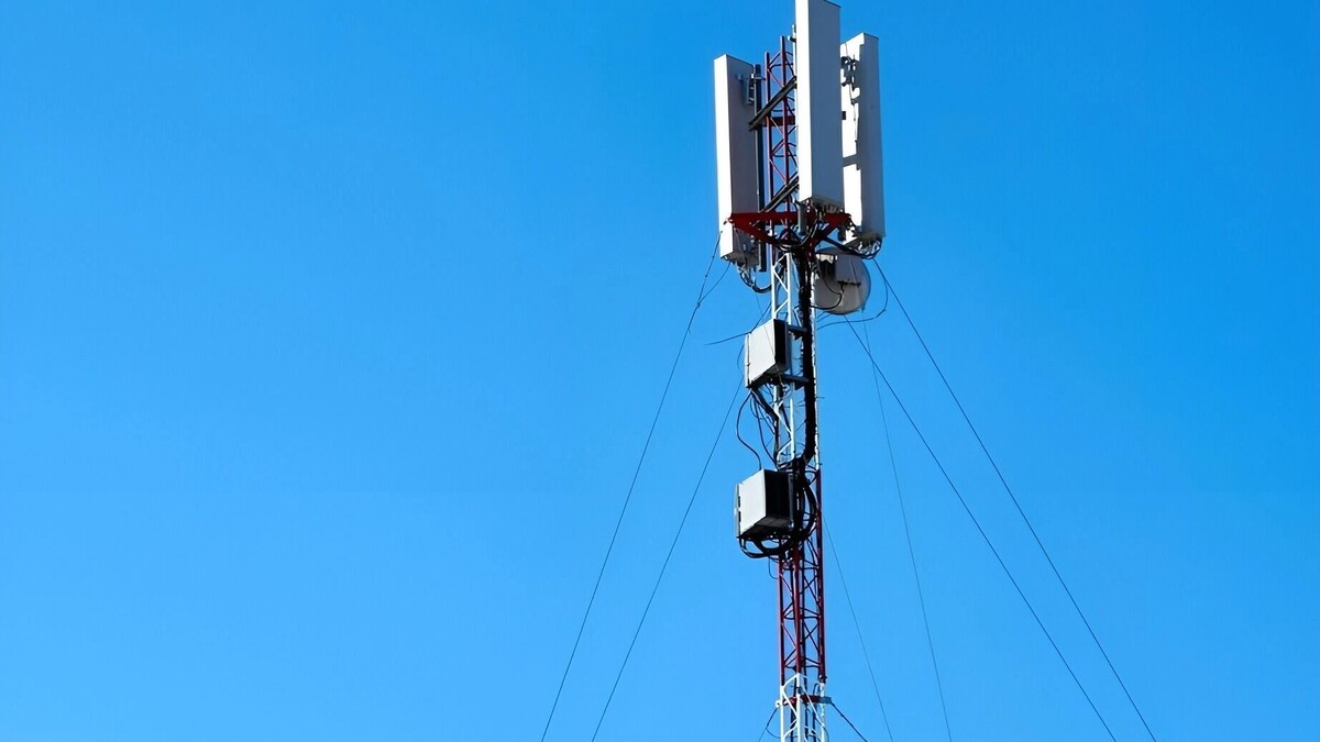     Источник: freepik.com