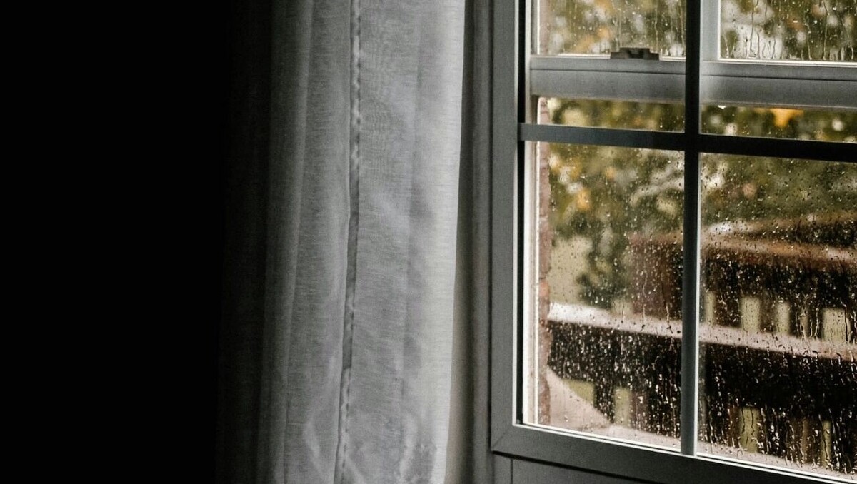     Автор: Unsplash