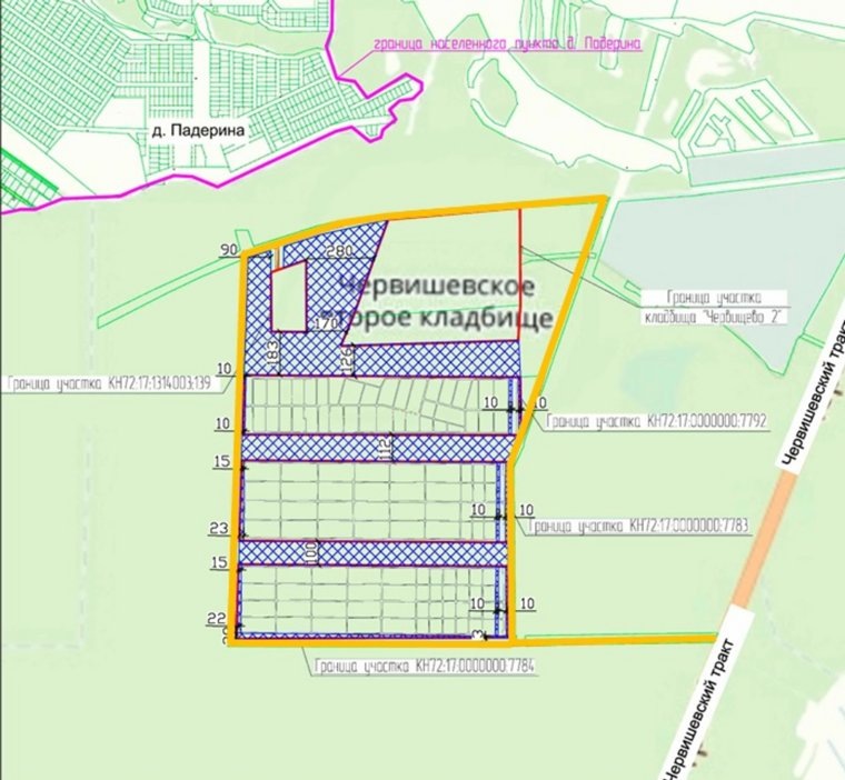 Желтым цветом на схеме обозначен проектируемый подъезд. Фото: портал Госзакупок