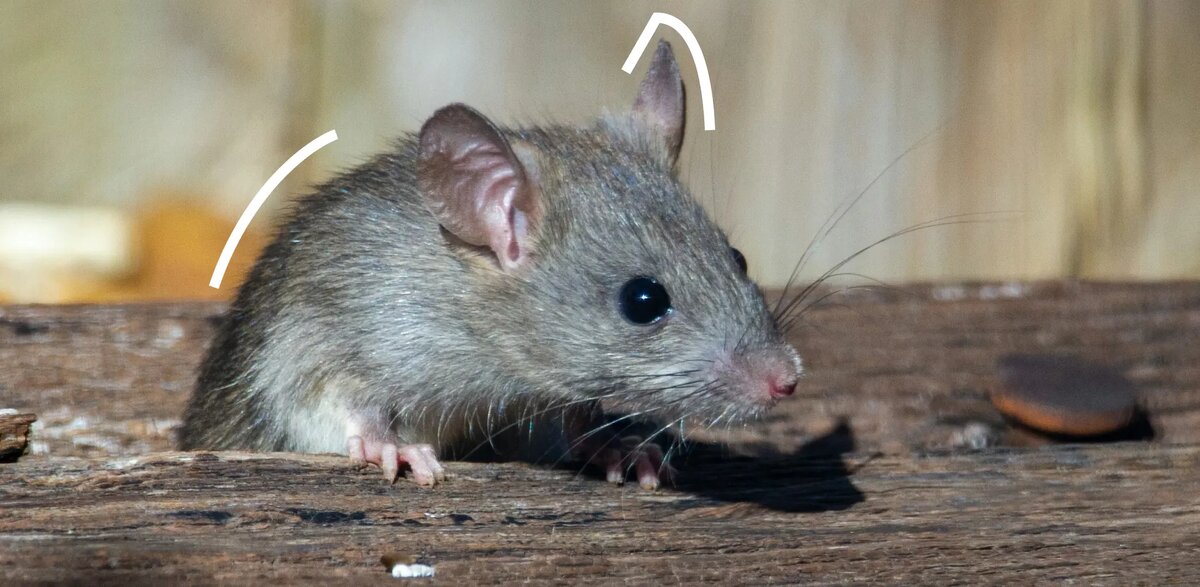 Источник: Авторский материал пользователя платформы. Источник фото: Unsplash  (https://unsplash.com/)