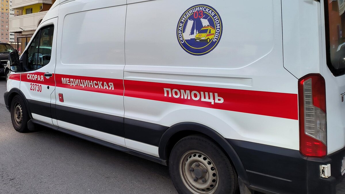 Фото: Maksim Konstantinov/globallookpress.com