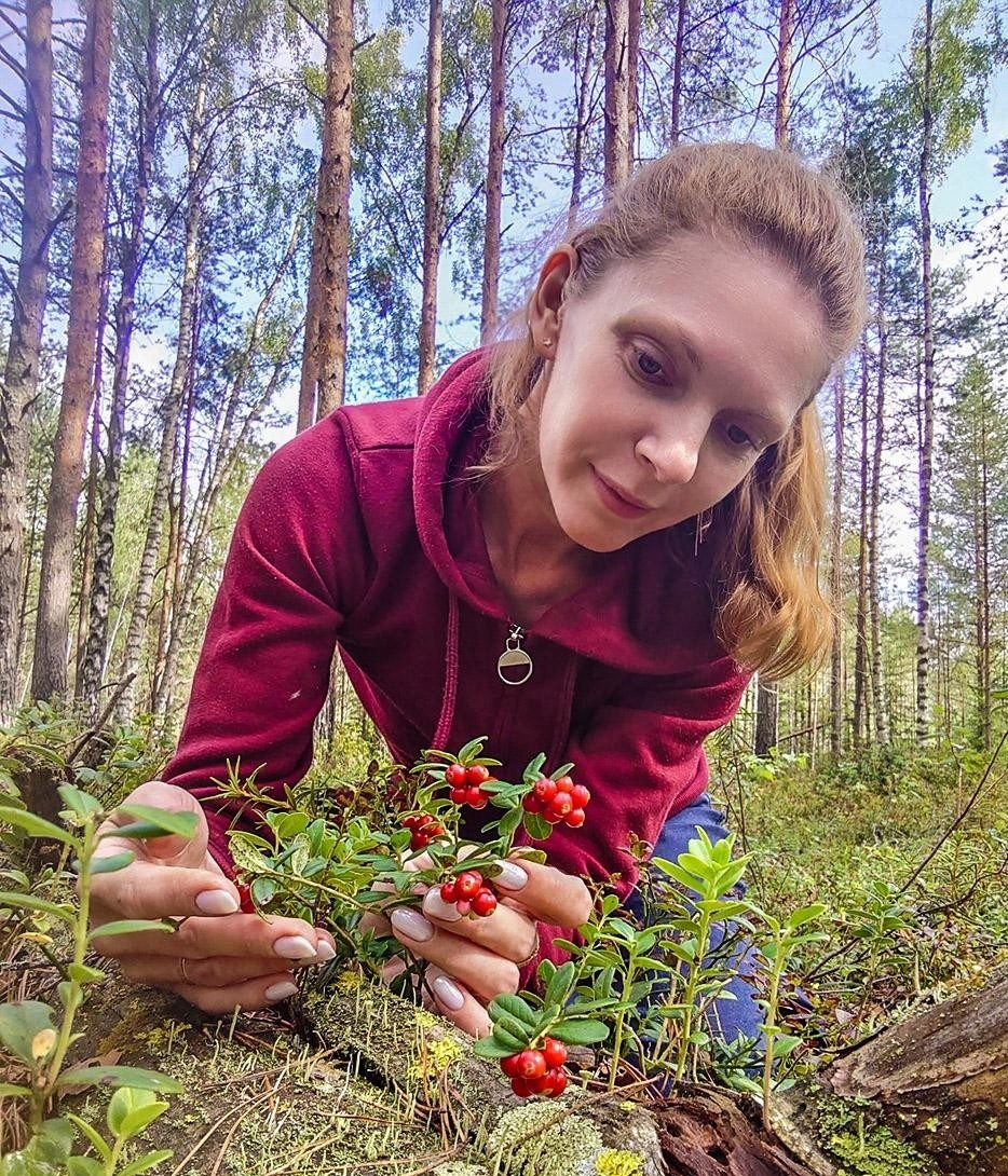 Ягодный лес в Тверской области