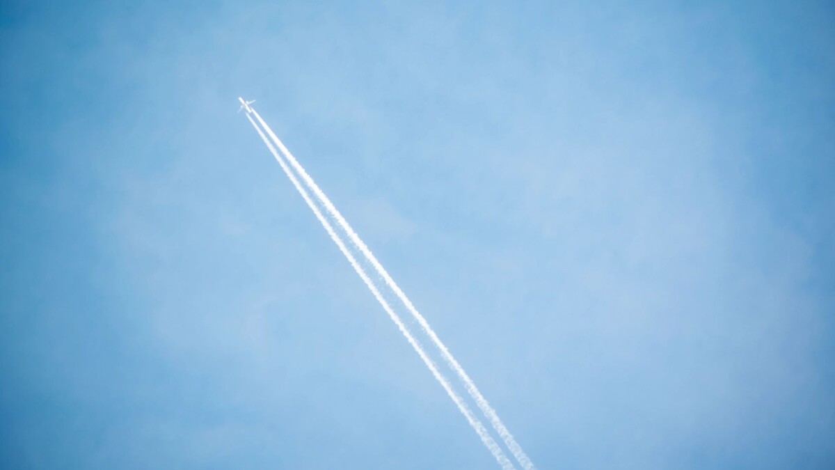    Фото: Сергей Зубков/«Ямал-Медиа»