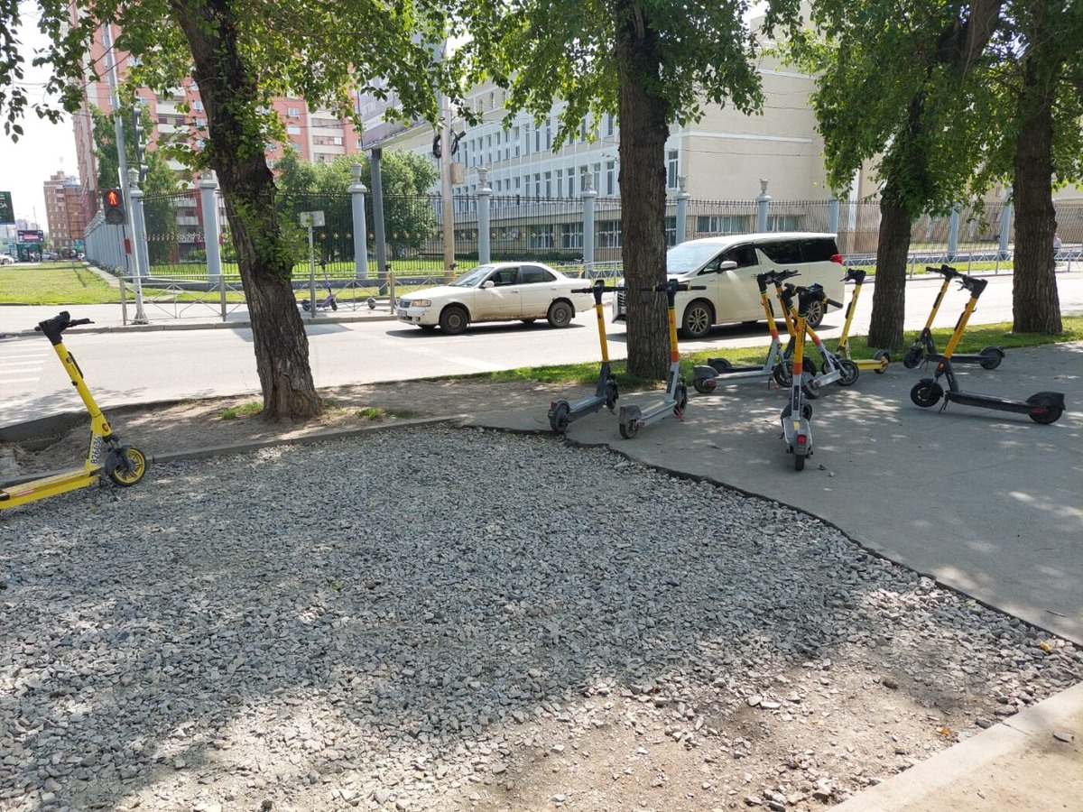    Фото предоставлены читателем "Прецедента"