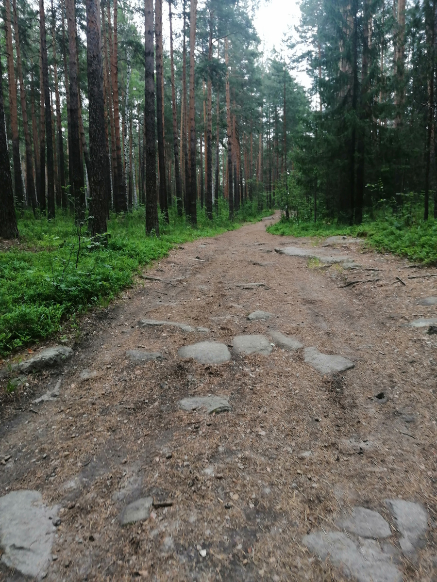 Тропа на Чёртово городище. 