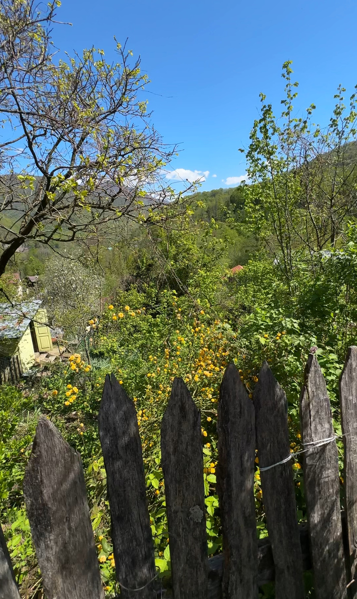 Фото из села.