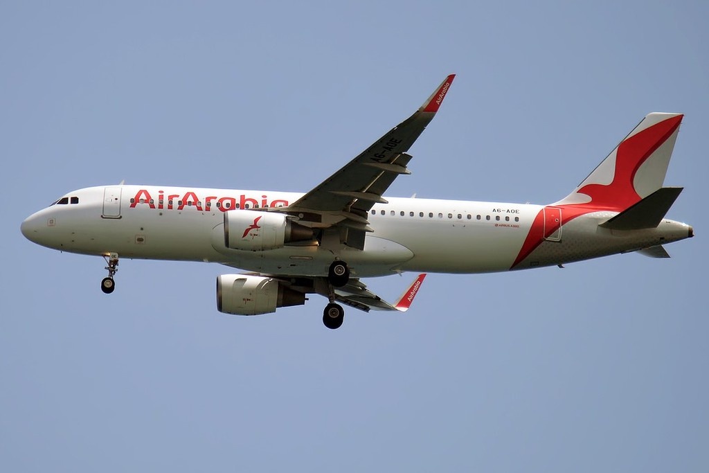    Фото © Wikipedia / Anna Zvereva