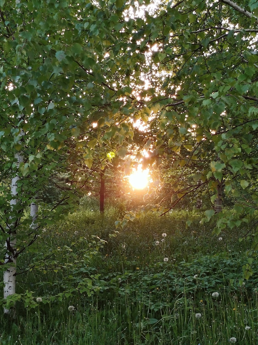 Закат в нашем СНТ