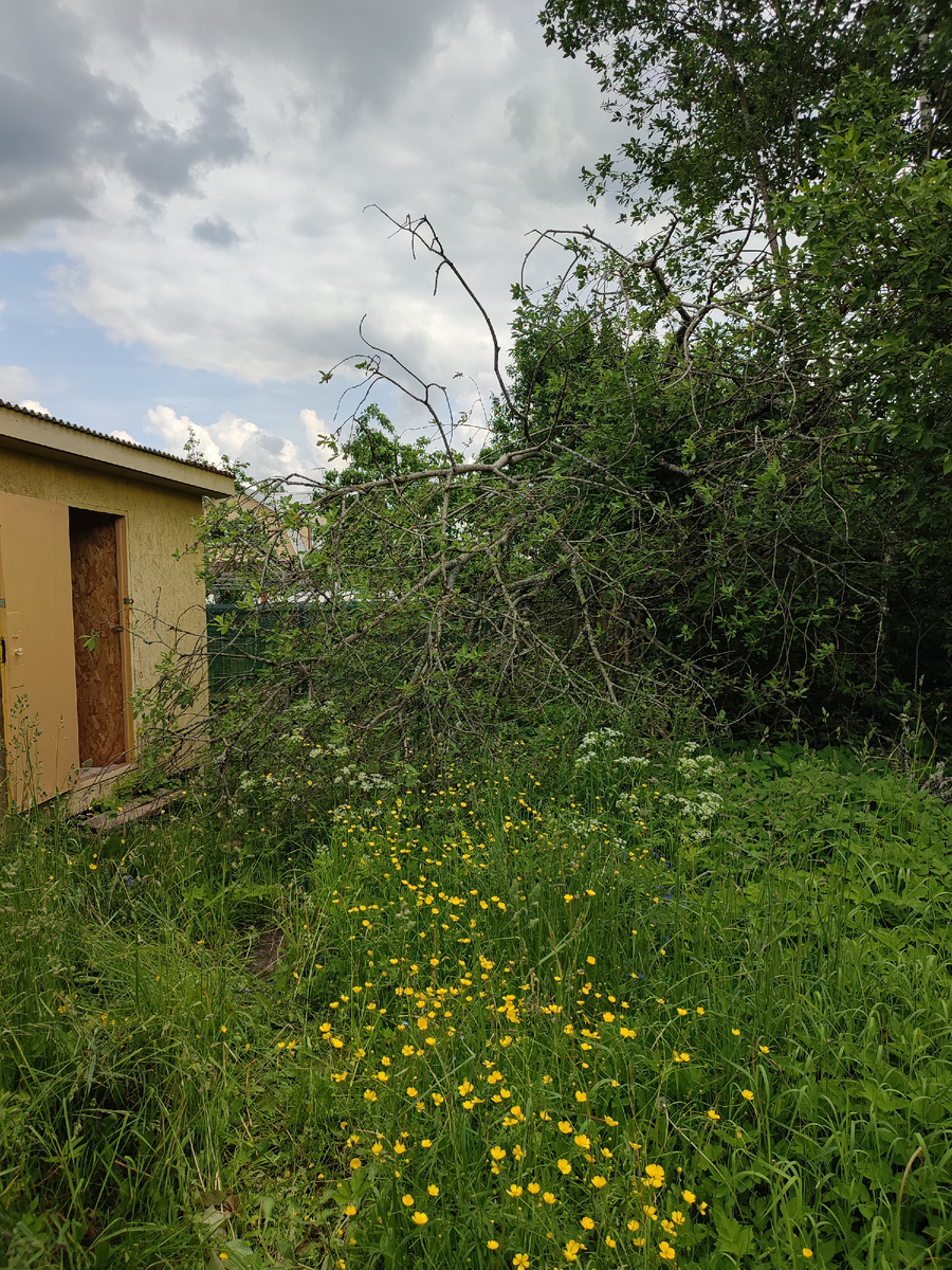 Совсем рядом с сараем упало