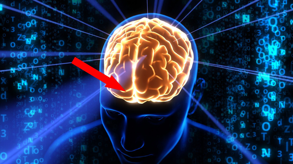    Чтение перепрограммирует ваш мозг и вот что об этом говорят ученые