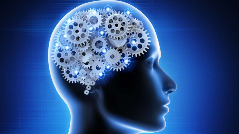    Чтение перепрограммирует ваш мозг и вот что об этом говорят ученые