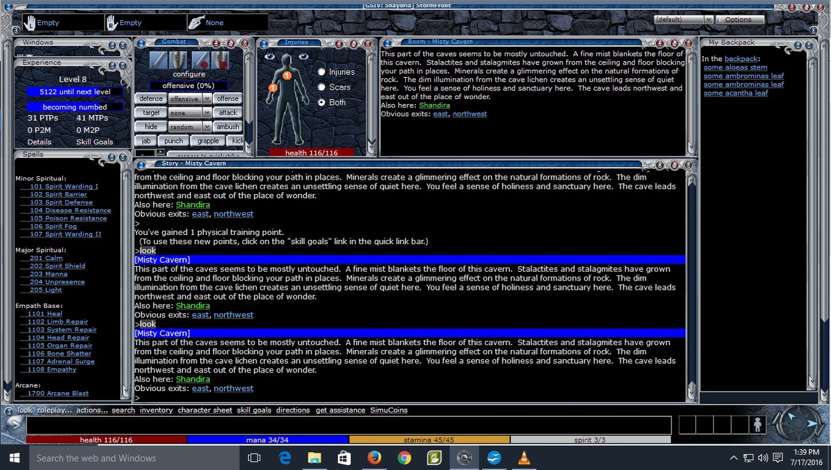 Фото: интерфейс GemStone 4