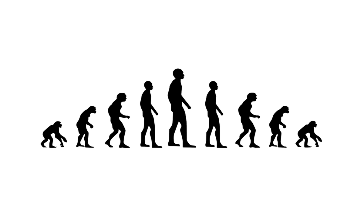 Фото взято с Pixabay