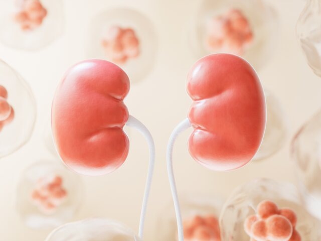    Фото: 123RF/fanjiann555