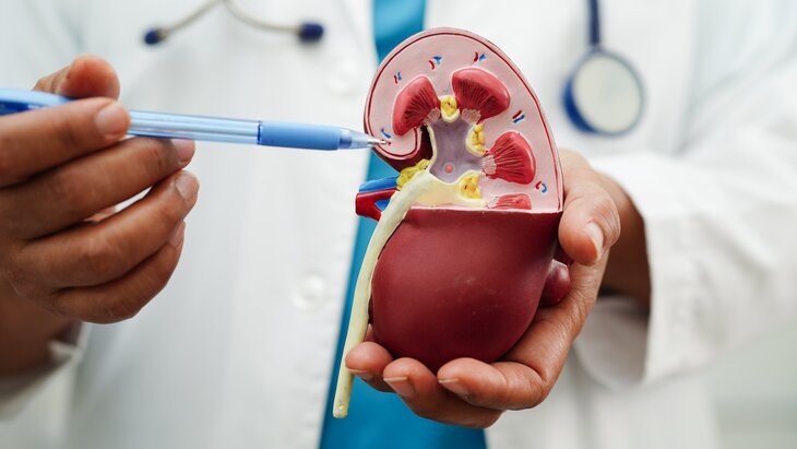    Фото: 123RF/sweettomato